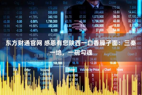东方财通官网 感恩有您陕西一口香臊子面：三秦一绝，一碗勾魂