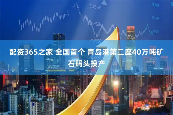 配资365之家 全国首个 青岛港第二座40万吨矿石码头投产