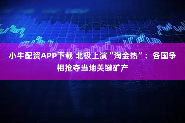 小牛配资APP下载 北极上演“淘金热”：各国争相抢夺当地关键矿产