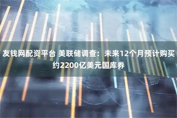 友钱网配资平台 美联储调查：未来12个月预计购买约2200亿美元国库券