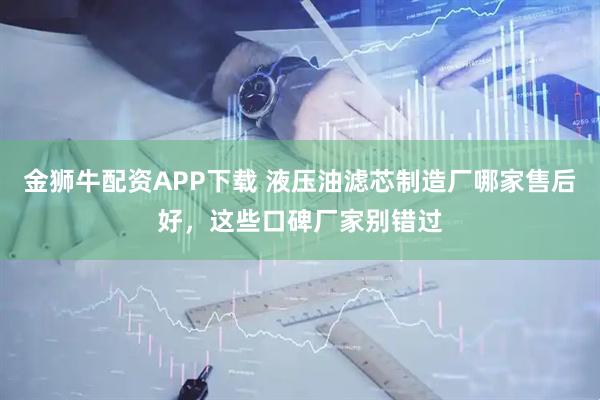 金狮牛配资APP下载 液压油滤芯制造厂哪家售后好，这些口碑厂家别错过